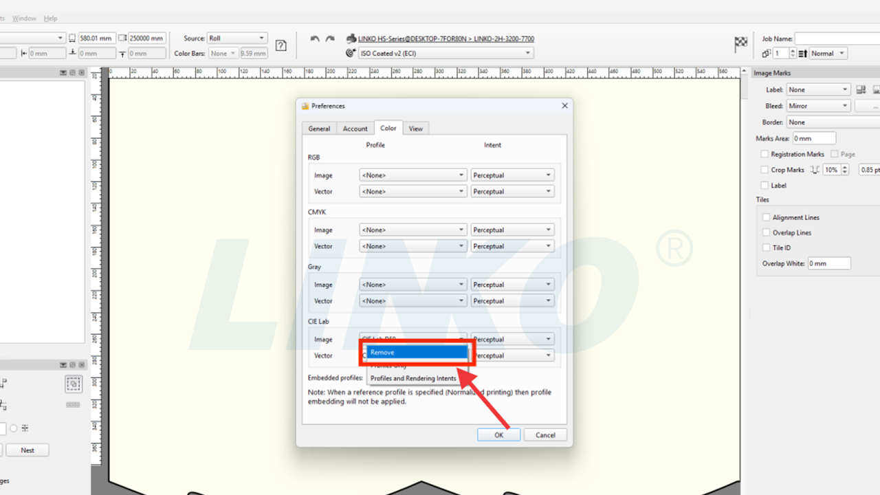 PrintFactory Software Initial Setup Guide - LINKO DTF Printer